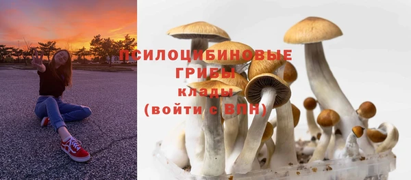 прущий лед Бородино