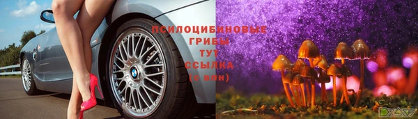прущий лед Бородино