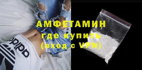 МДПВ Пересвет