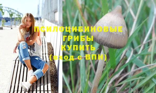 гашиш Богородск