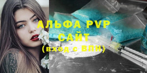 прущий лед Бородино