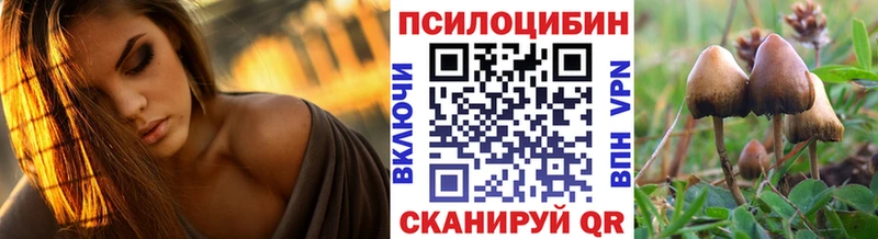 Псилоцибиновые грибы MAGIC MUSHROOMS  кракен онион  Губаха 
